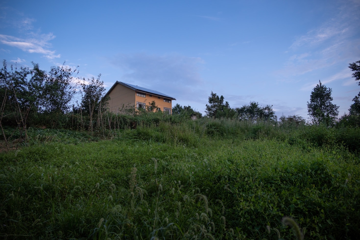 ¿Qué hace especial alojarte en una casa rural petfriendly?